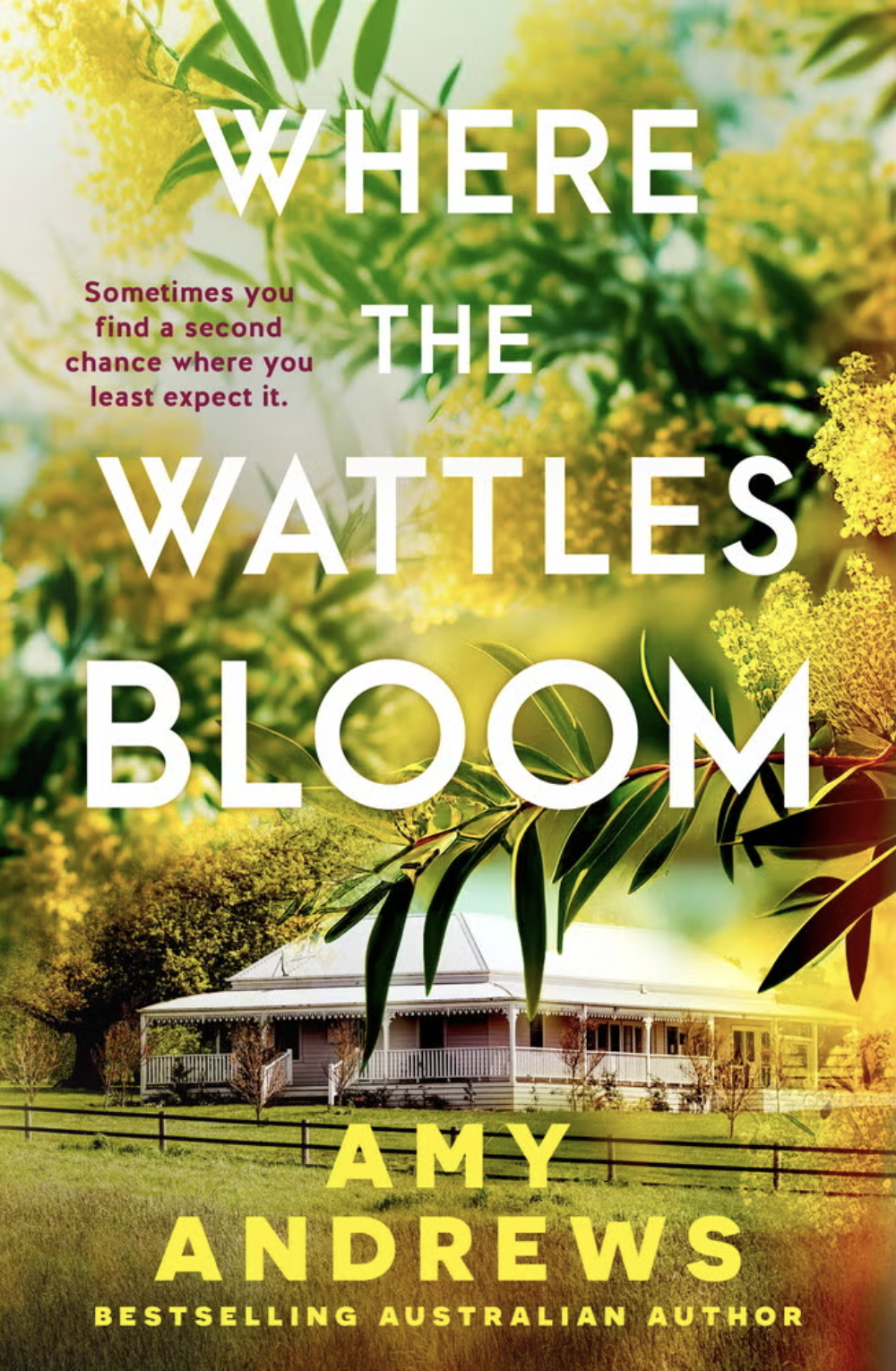 Where the wattles bloom